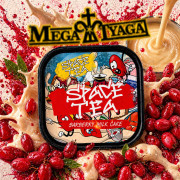 ЧАЙНА СУМІШ SPACE TEA BARBERRY MILK CAKE (БАРБАРИС ЗГУЩЕНЕ МОЛОКО) 100 ГР фото