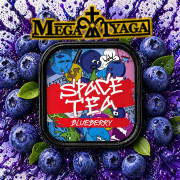Чайна суміш Space Tea Blueberry (Чорниця) 100 гр фото
