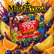 ЧАЙНА СУМІШ SPACE TEA Fruity Fusion 40 ГР фото