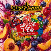 Чайна суміш Space Tea Home Peach Berry Sky 100 гр фото