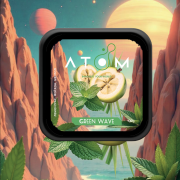Табак Atom Green Wave 100 гр