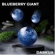 Тютюн  DARKUA Blueberry Giant (Чорниця) 100 гр  фото