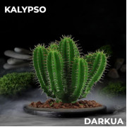 Тютюн  DARKUA Kalypso (Кактус) 100 гр фото