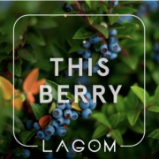 Табак Lagom Navy This Berry 40 гр