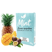 Безникотиновая смесь для кальяна Mint Ананас Маракуйя 100 гр