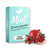 Безникотиновая смесь для кальяна Mint Барбарис Гранат 50 гр
