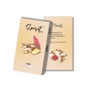 Табак Spirit Gastro Имбирь 40 гр