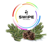 Бестабачная смесь Swipe  Easy Needles 100 гр